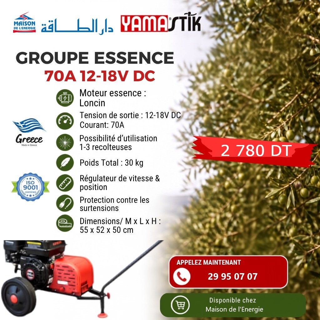 Groupe Électrogène Essence 70A (12-18V DC) pour Vibreurs